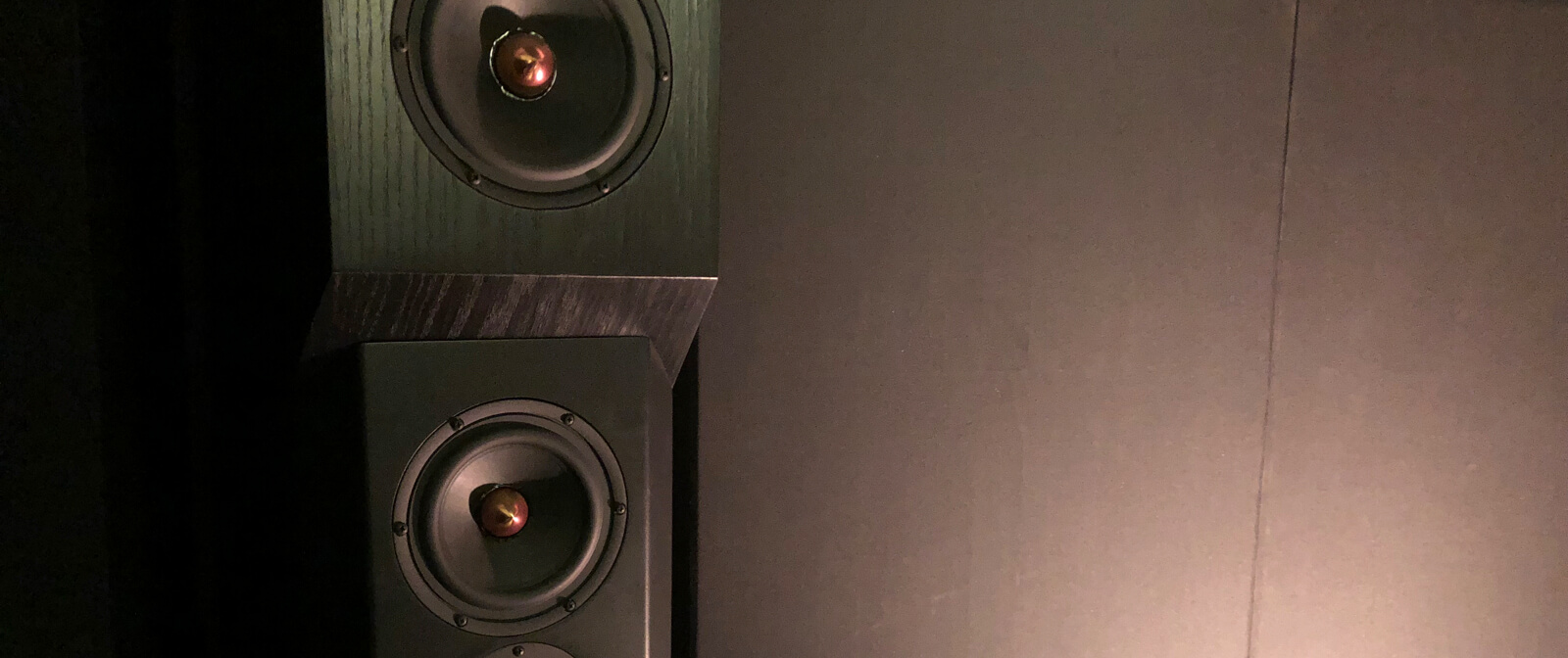 Tyler Acoustics Decade Series D1 Speakers (Custom, Modified)